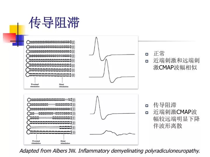 液相PEEK管的特性与应用