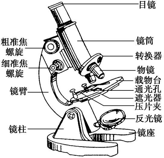 显微镜的镜头构造及其功能解析