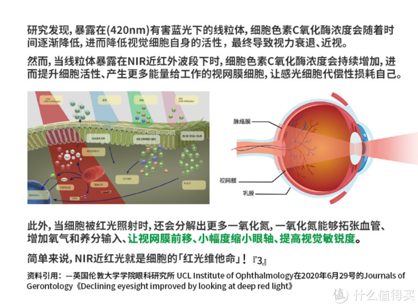 护眼灯的利润，深度分析与展望